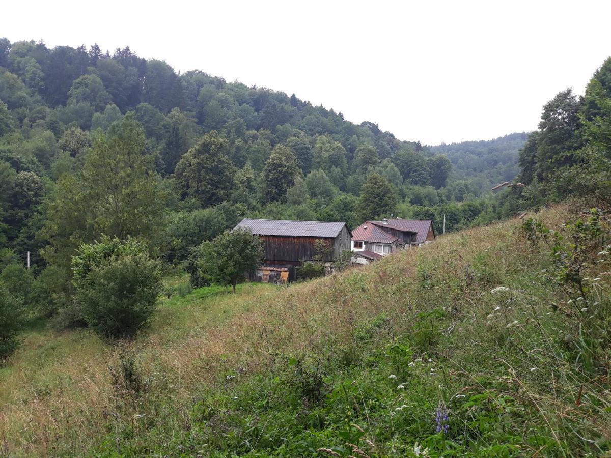 Pokoje Goscinne Thank You Life, Apartament 2 Forest For Rest Bystrzyca Klodzka Exterior photo